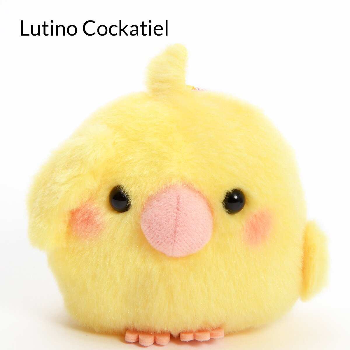 Kotori Tai Pipitto! Bird Plush Collection (Ball Chain): Amuse