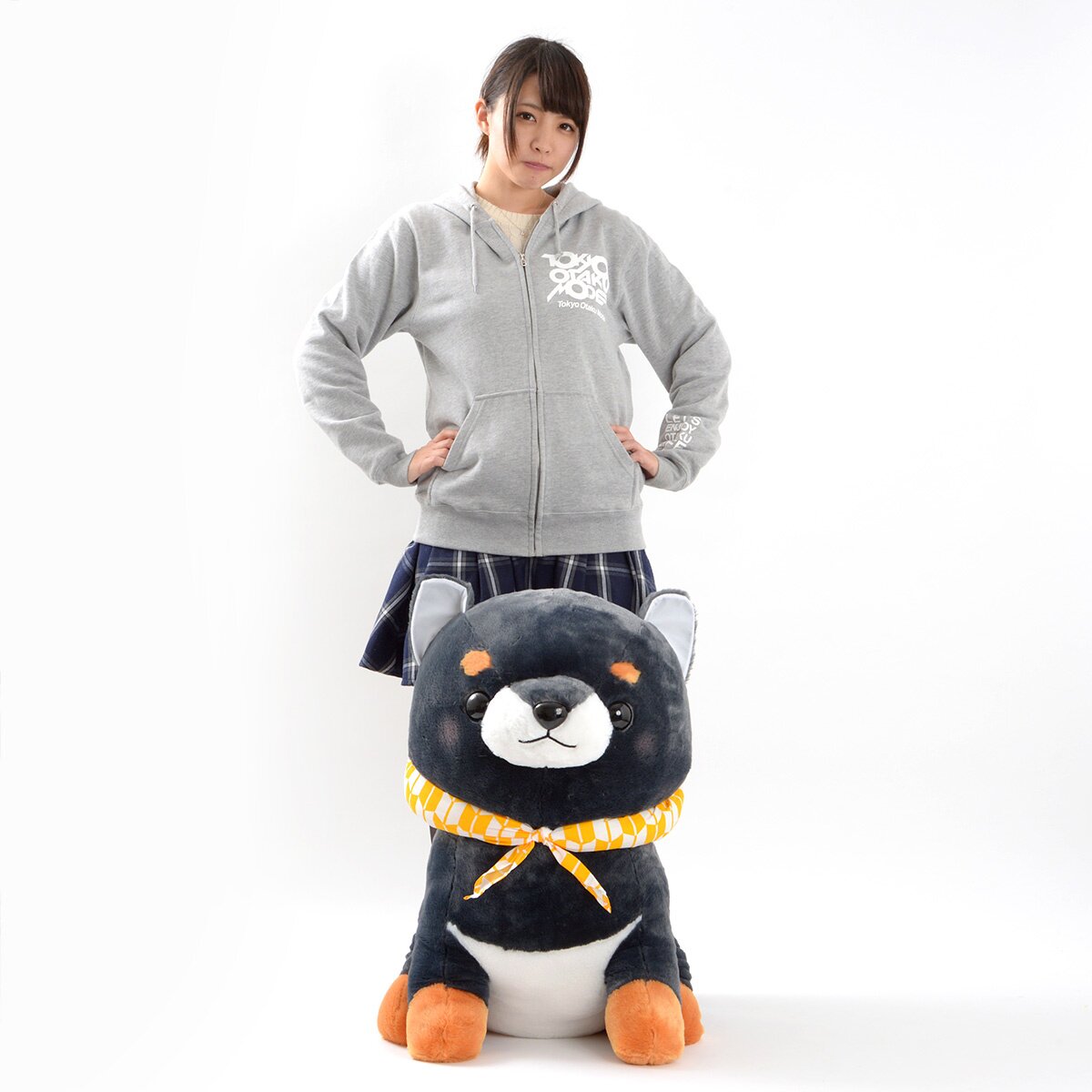 Mameshiba San Kyodai Mamejiro Dog Plush (Super Jumbo): Amuse