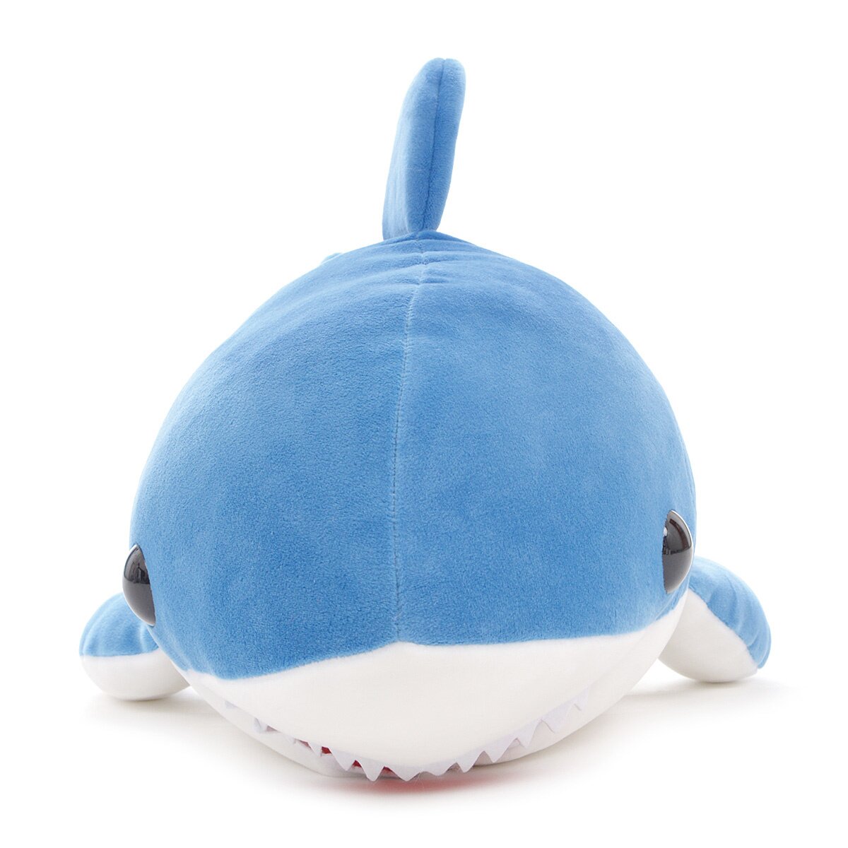 mochi puni shark