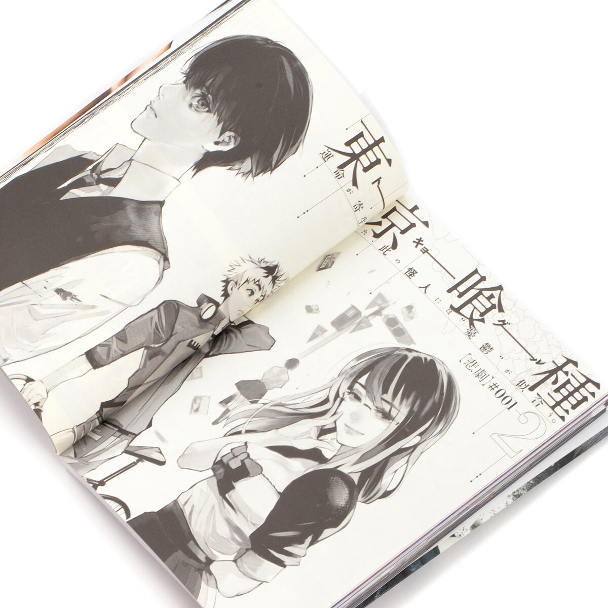 Tokyo Ghoul [anime] Official anime book