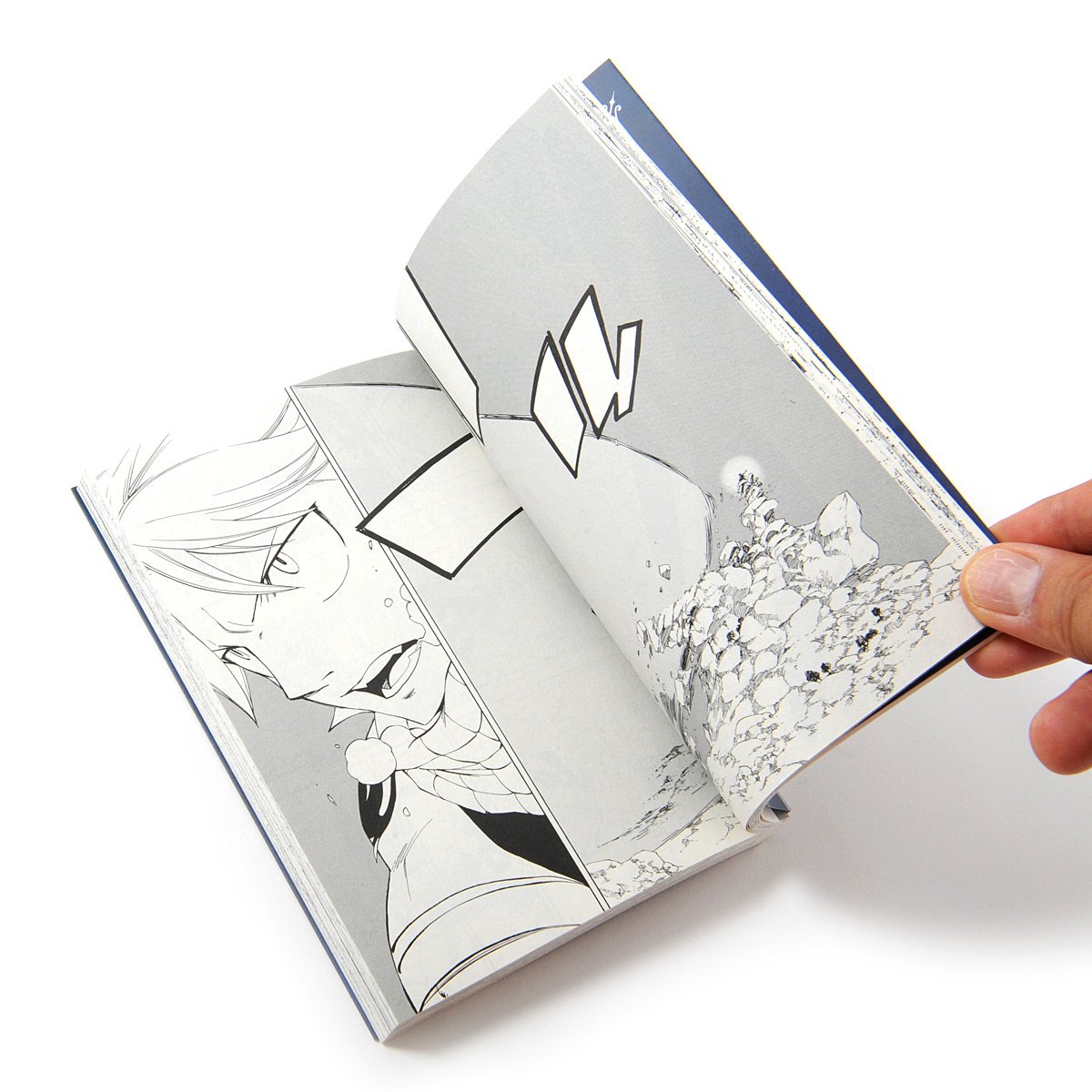 Fairy Tail Vol. 50 Limited Edition - Tokyo Otaku Mode (TOM)