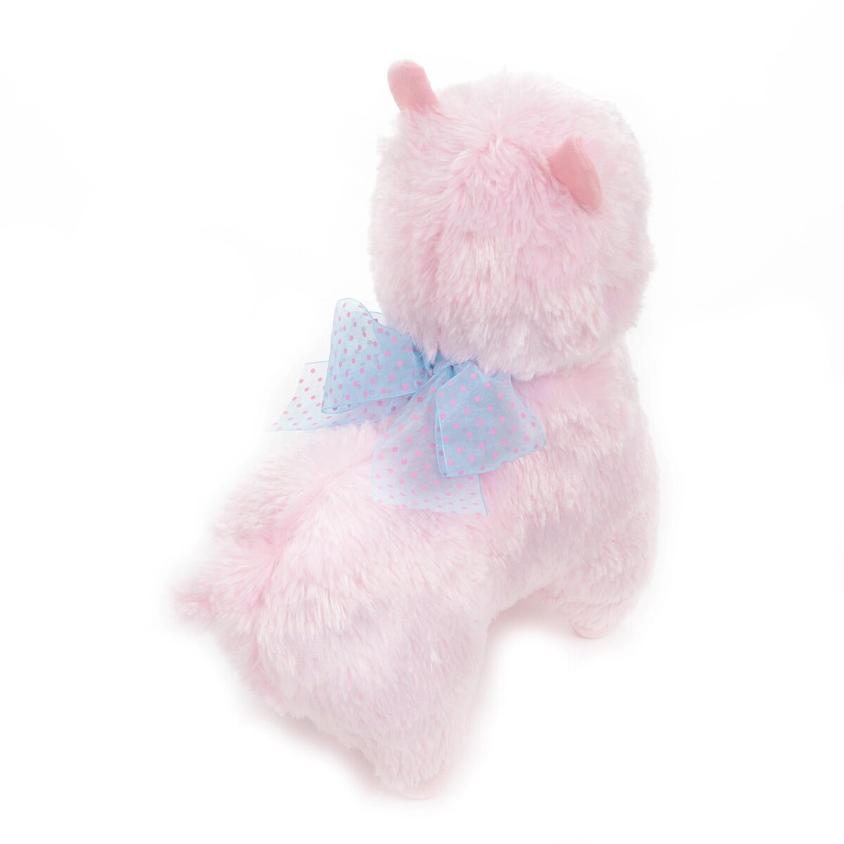 amuse collection alpacasso