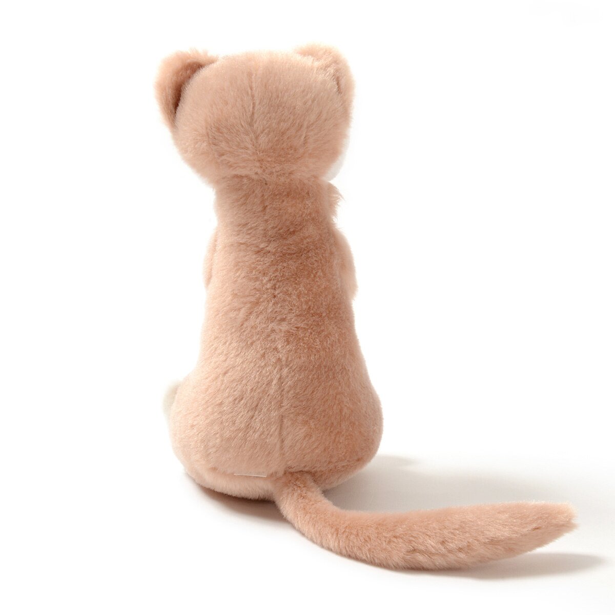 ferret mori no feru