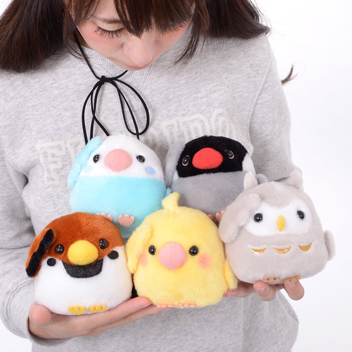 Kotori Tai Pipitto! Bird Plush Collection (Standard): Amuse