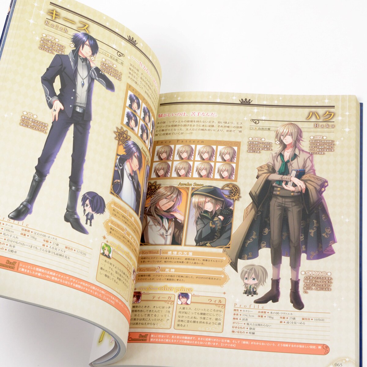 100 Sleeping Princes & The Kingdom of Dreams Official Guide Book - 100 Sleeping Princes & The Kingdom Of Dreams Characters