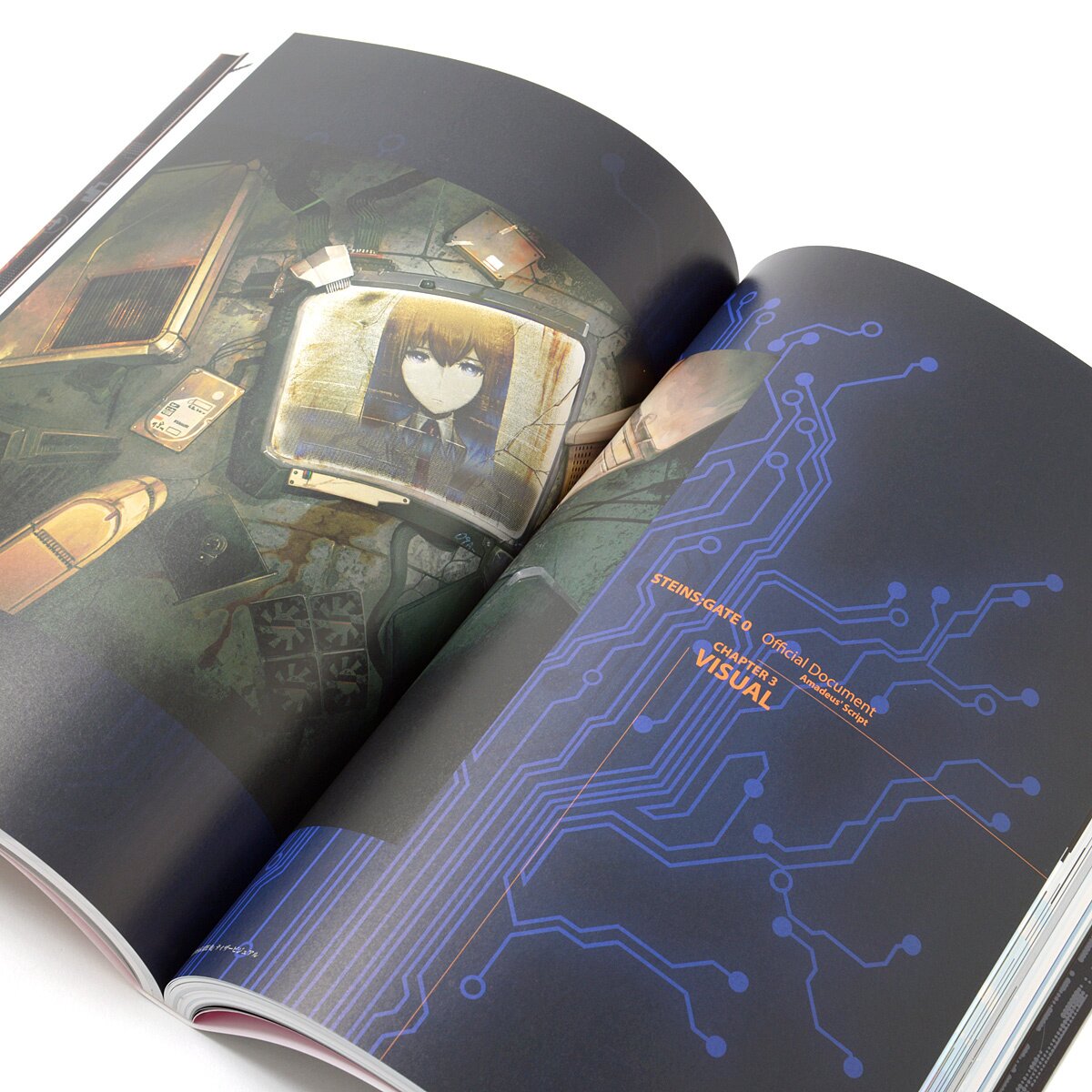 Steins;Gate 0 Official Visual Materials: Amadeus' Script