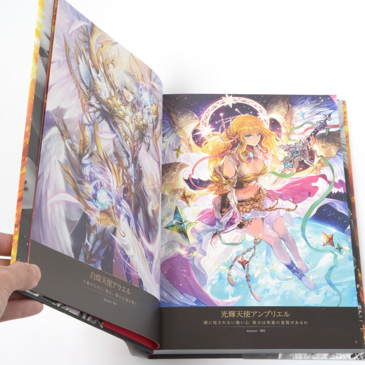 6,450円レア白！the shadow of the official art works