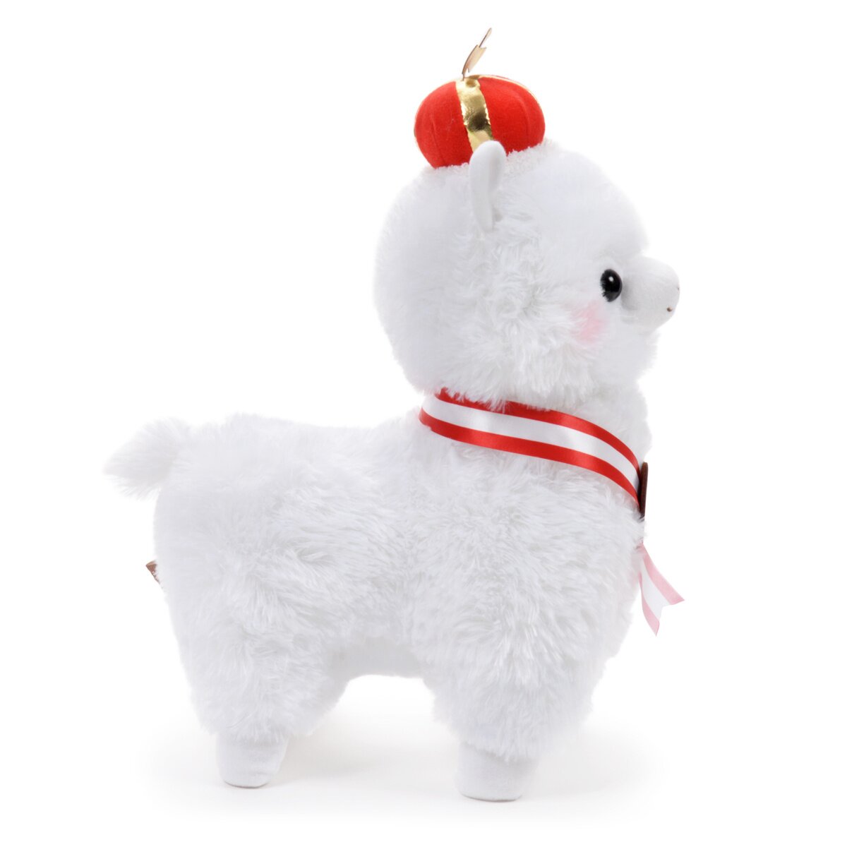 alpacasso 10th anniversary