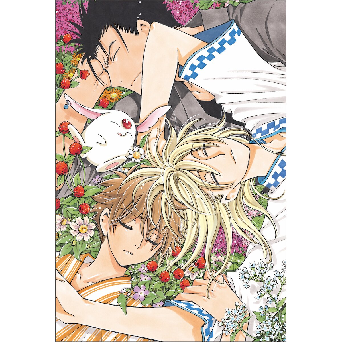 ツバサ 豪華版（15）』（CLAMP）｜講談社