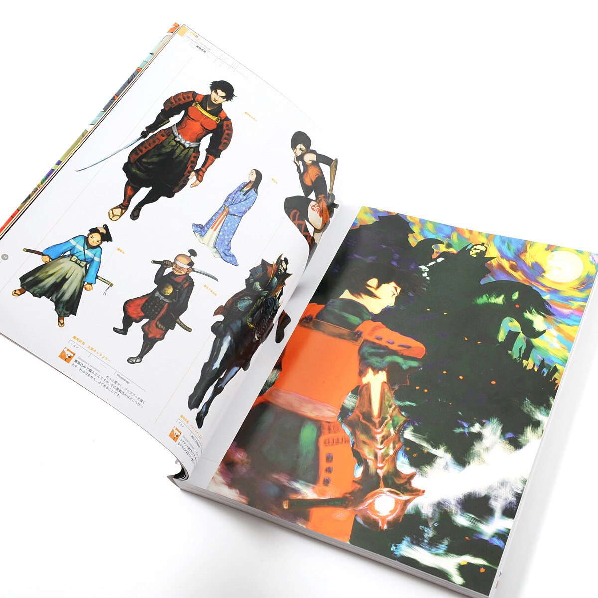 Amazon.com: Capcom Design Works: 9784757704121: Books