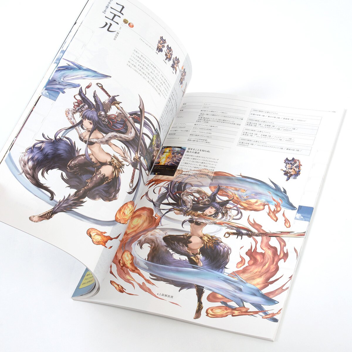 Granblue Fantasy the Animation Blu-ray Vol. 2 - Tokyo Otaku Mode (TOM)