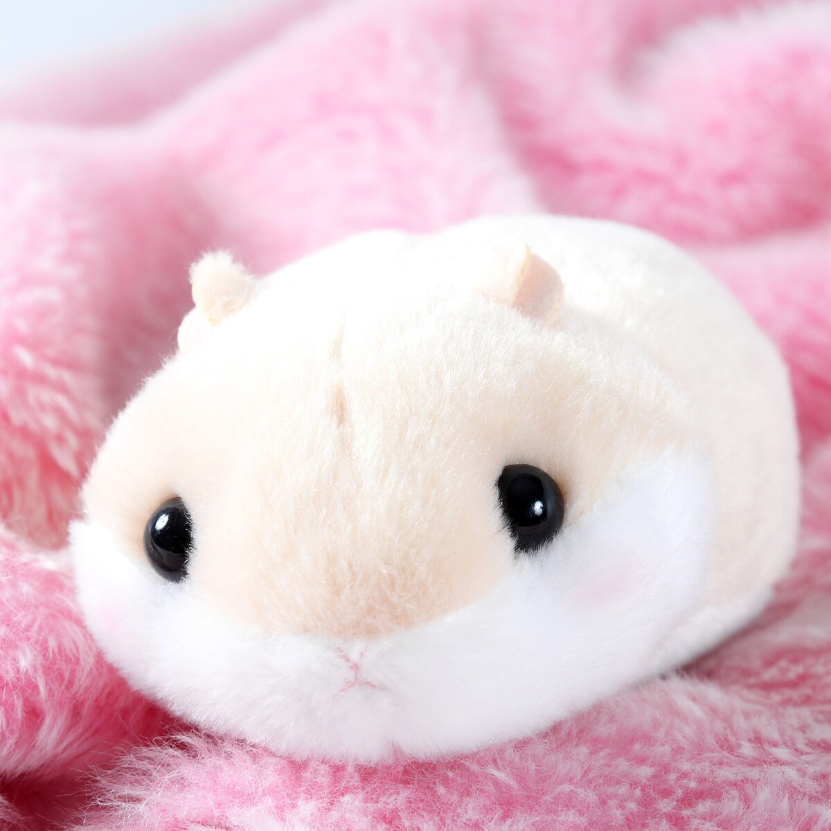 Coroham Coron Mocchiri Hamster Plush Collection (Standard): Amuse ...