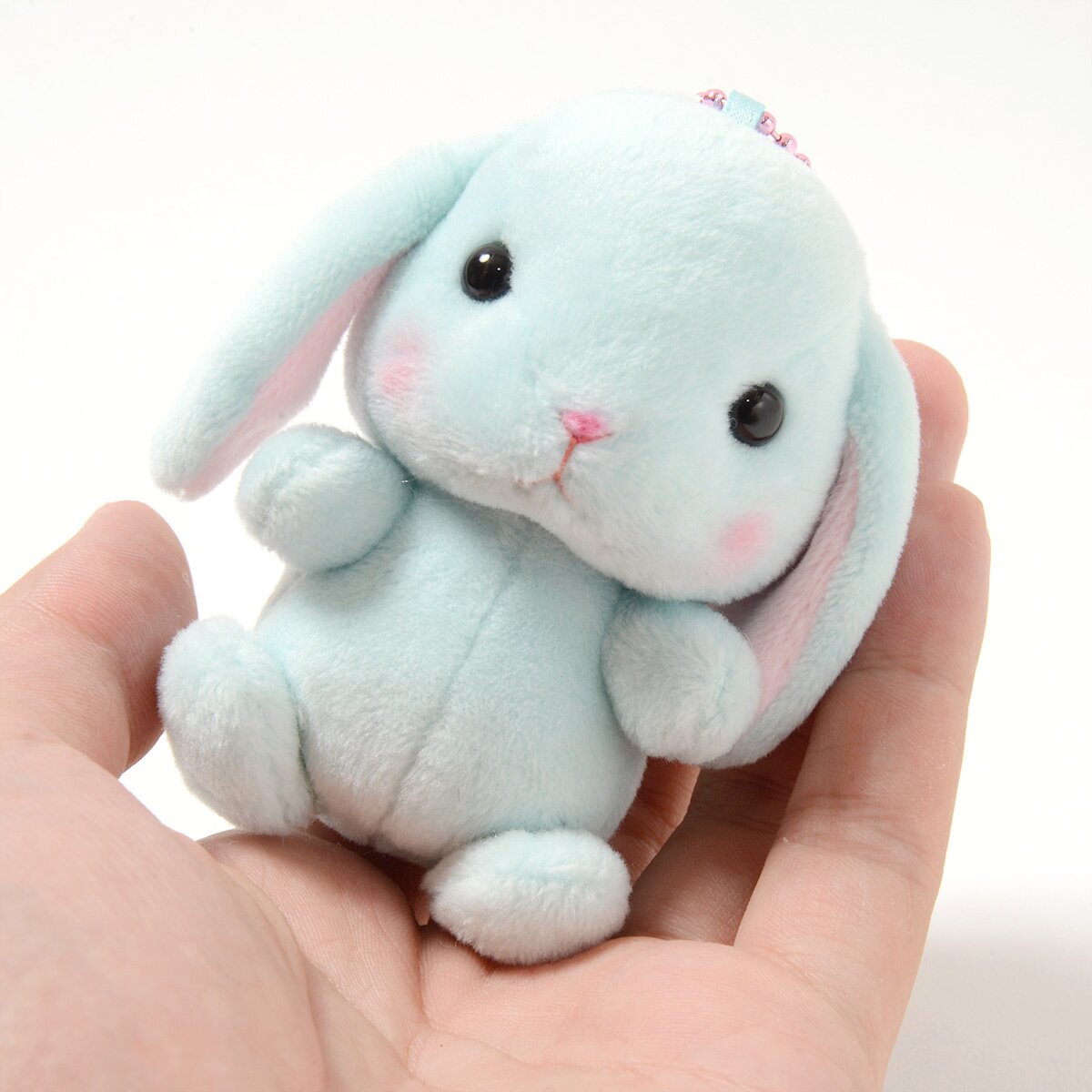 loppy bunny for sale