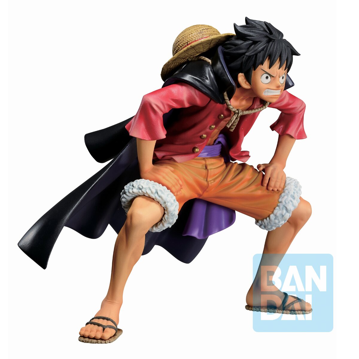 Who is Monkey D. Luffy in One Piece?