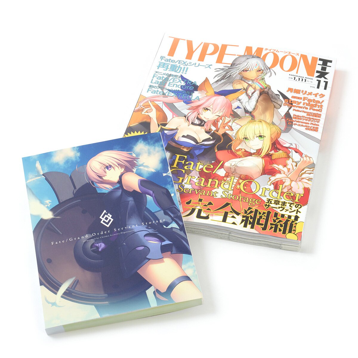 TYPE-MOON Ace Vol. 11: Type-Moon - Tokyo Otaku Mode (TOM)