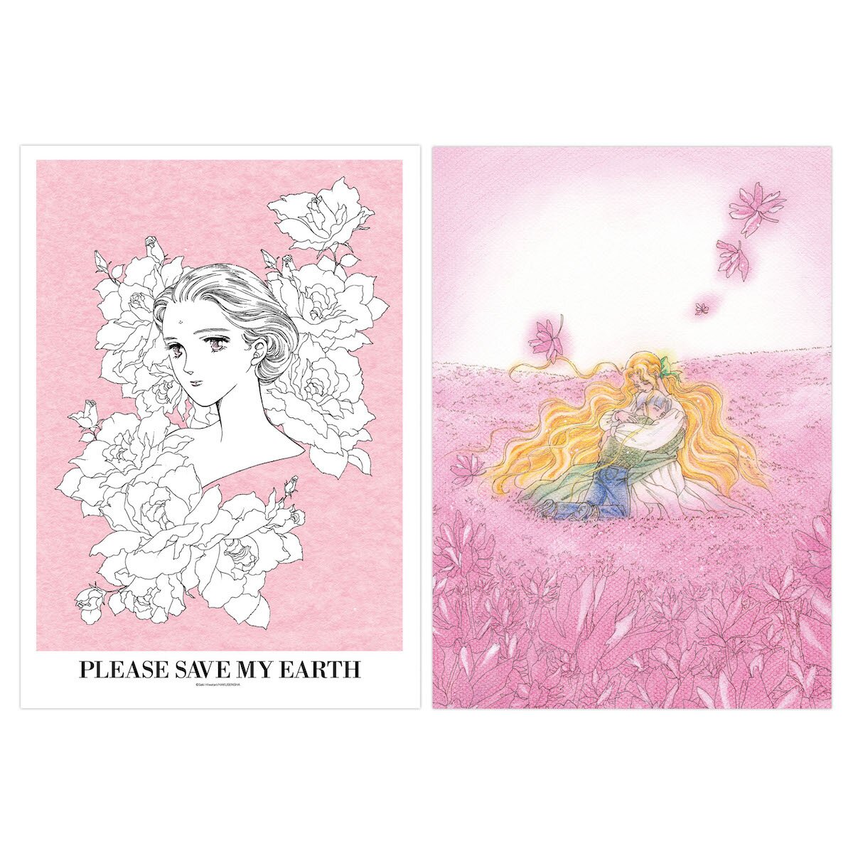 LD] Please Save My Earth vol.1 (Episode 1-2) JAPAN ANIME - Japanimedia Store