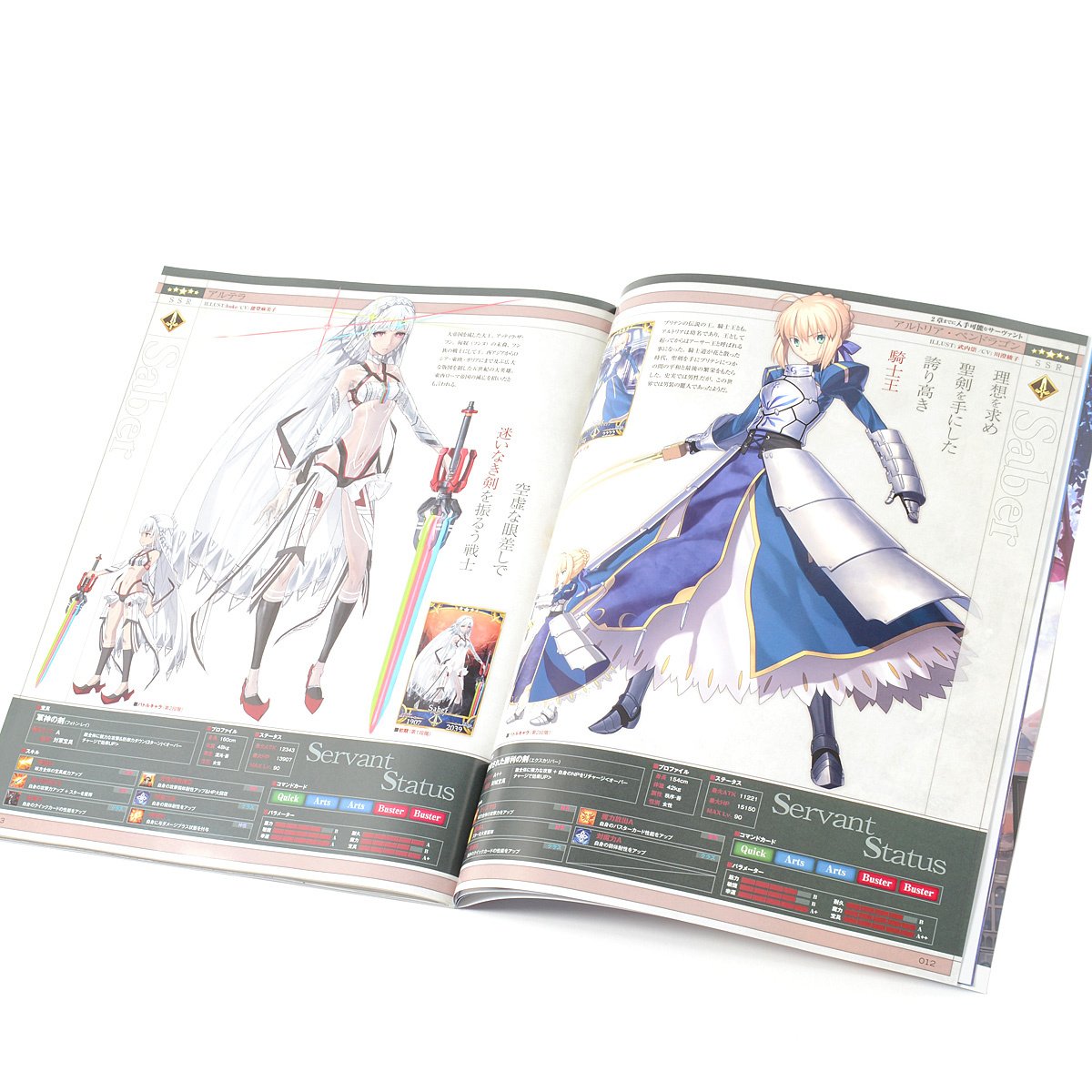 Type-Moon Ace Fate/Grand Order Official Guide Book - Tokyo Otaku Mode (TOM)