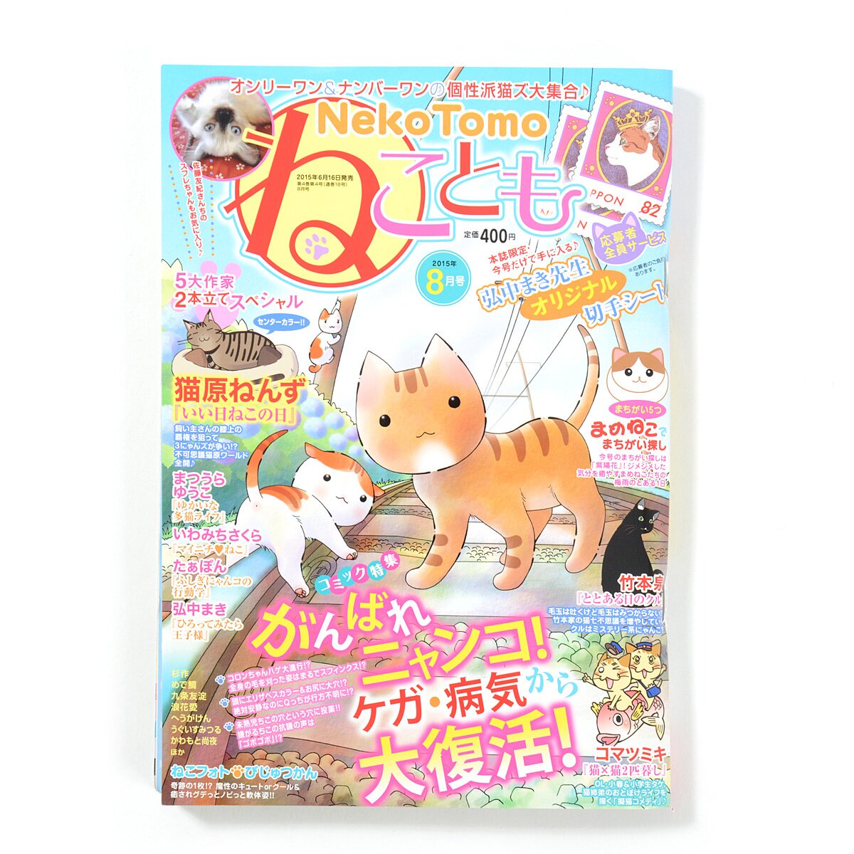 Neko Tomo August 2015