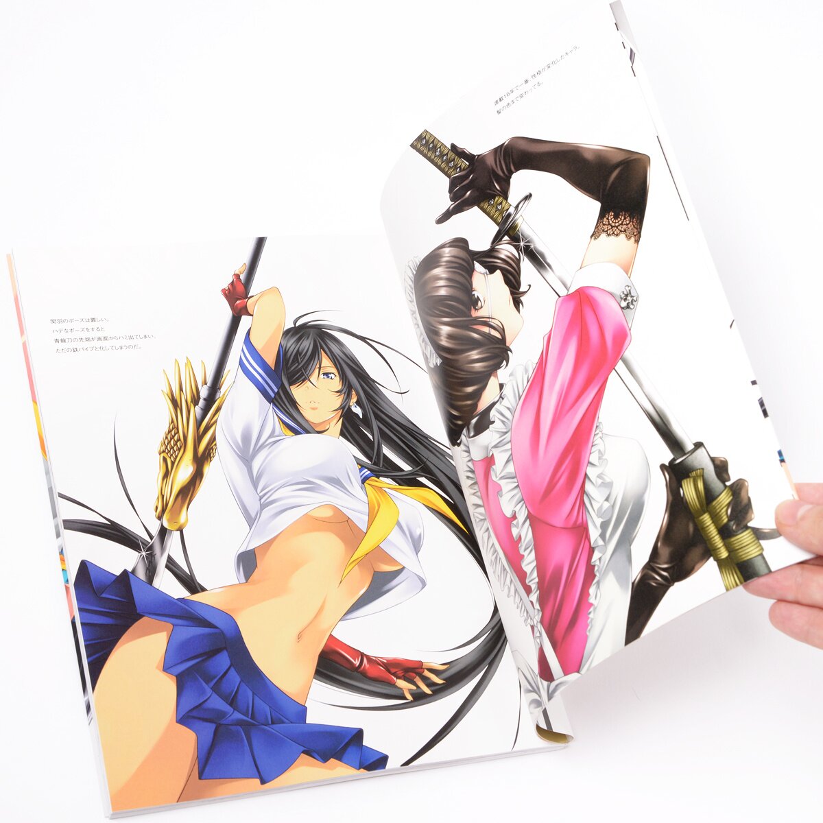 New Shin Ikki Tousen First Limited Edition DVD Booklet Post Card