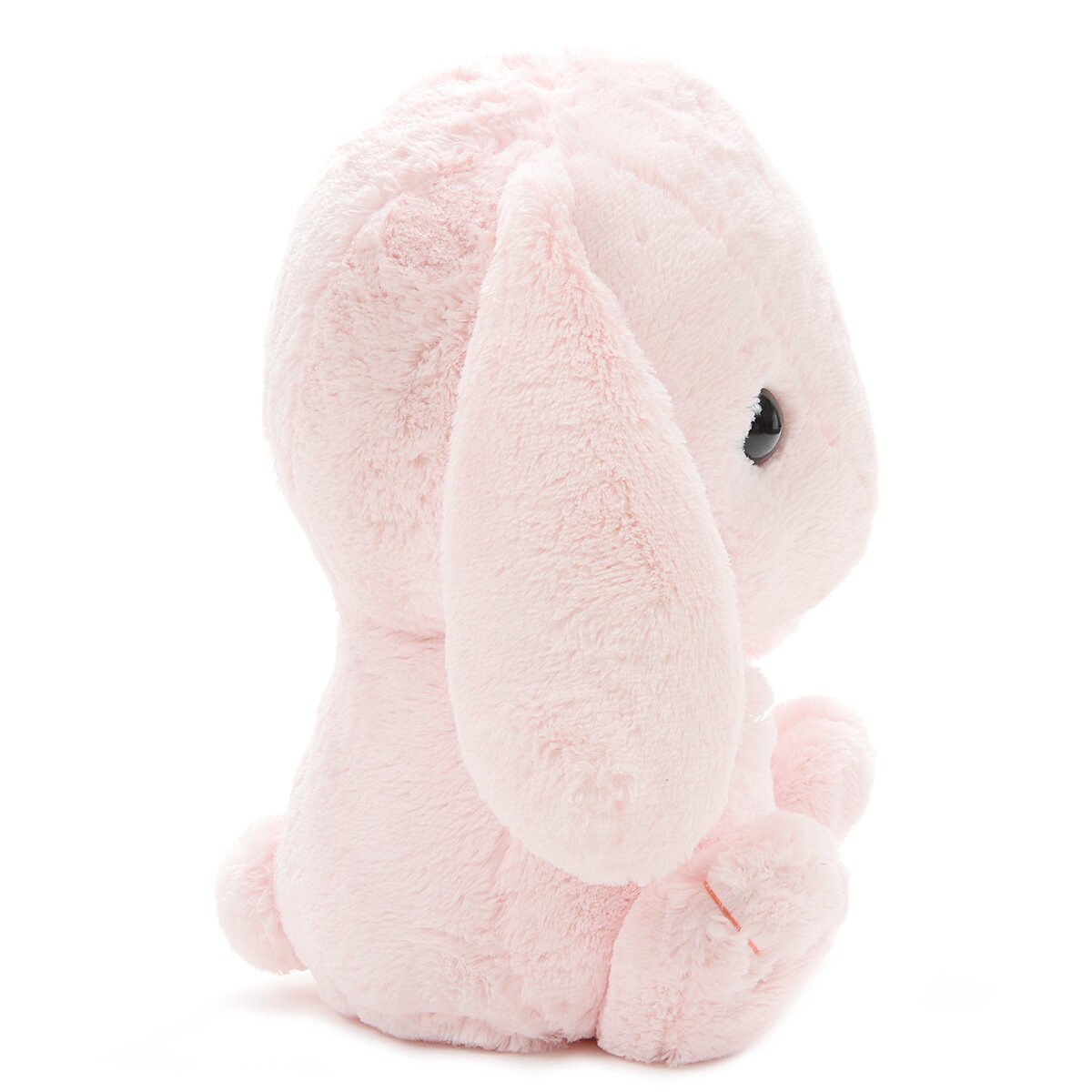 pote loppy