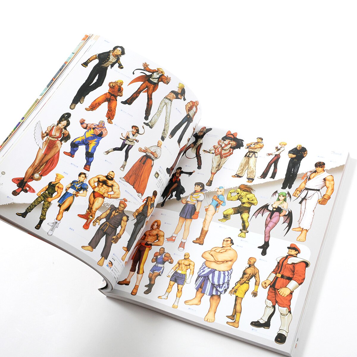 Amazon.com: Capcom Design Works: 9784757704121: Books