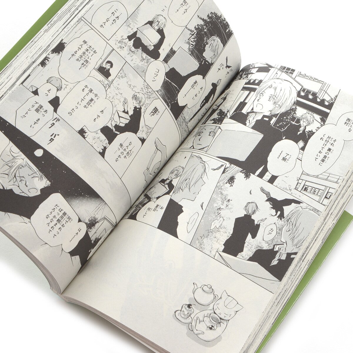 Natsume's Book Of Friends Vol. 22 Special Edition W/ Nyanko-sensei ...