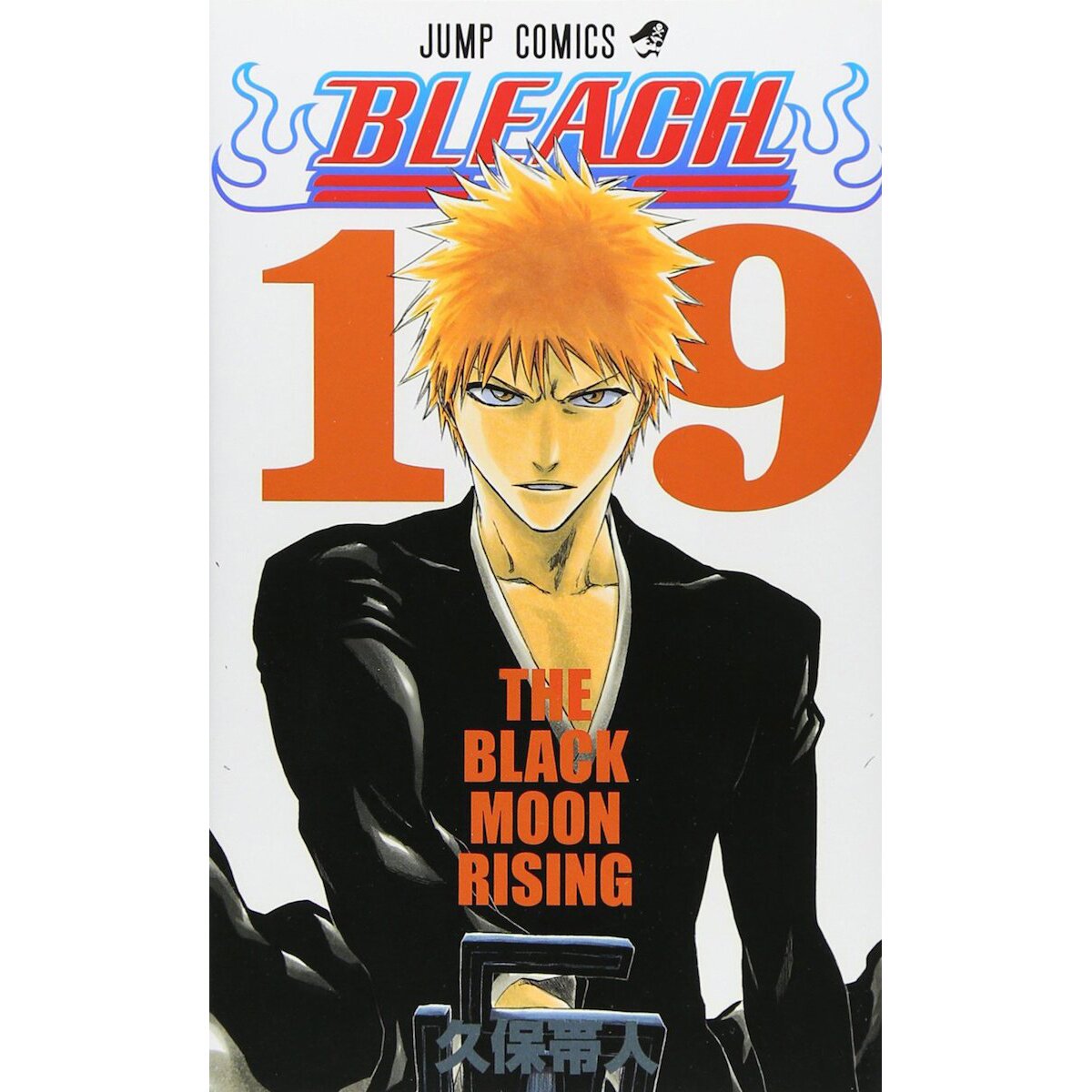 BLEACH Manga Volume 18