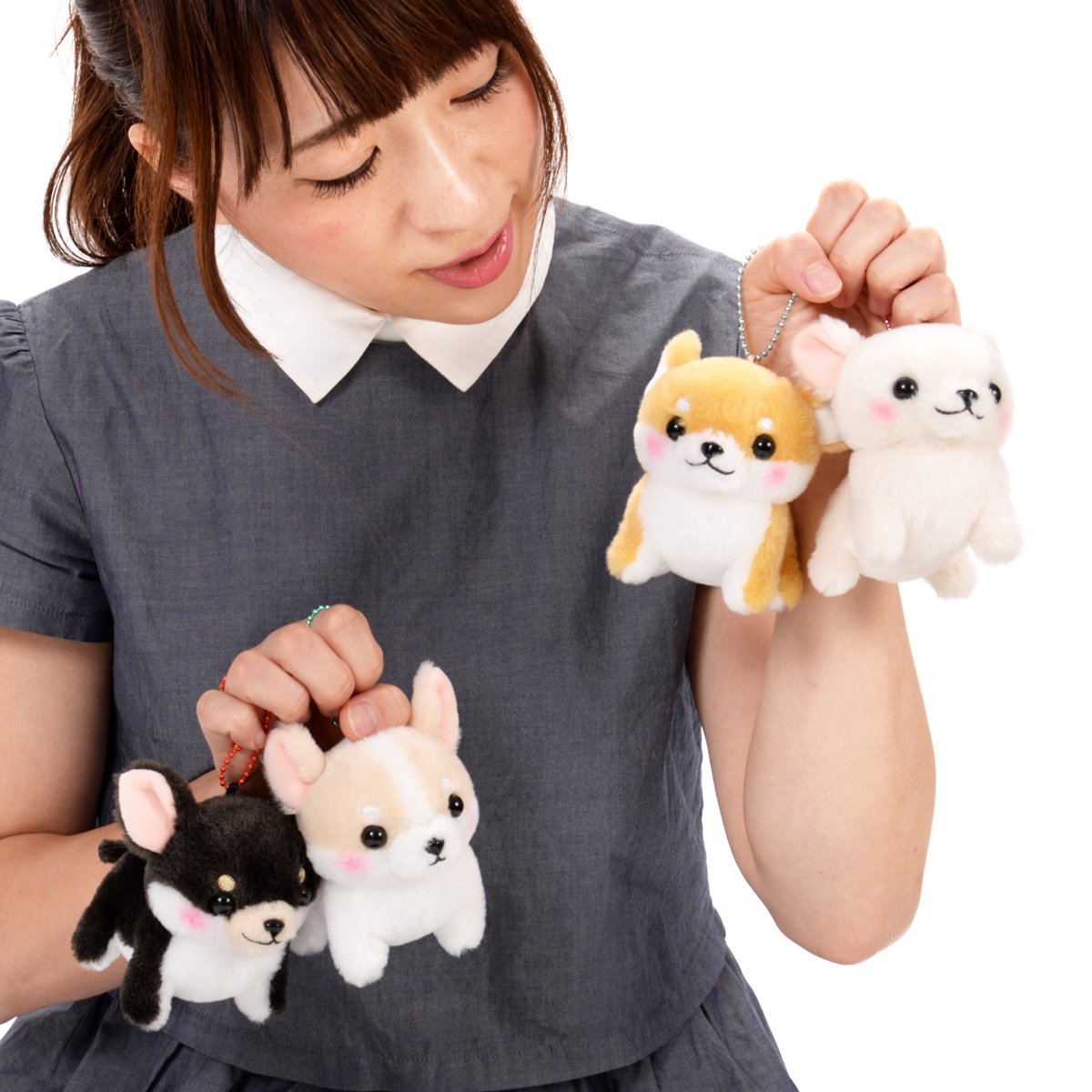 Muchimu Chihuahua Dog Plush Collection (Ball Chain): Amuse - Tokyo