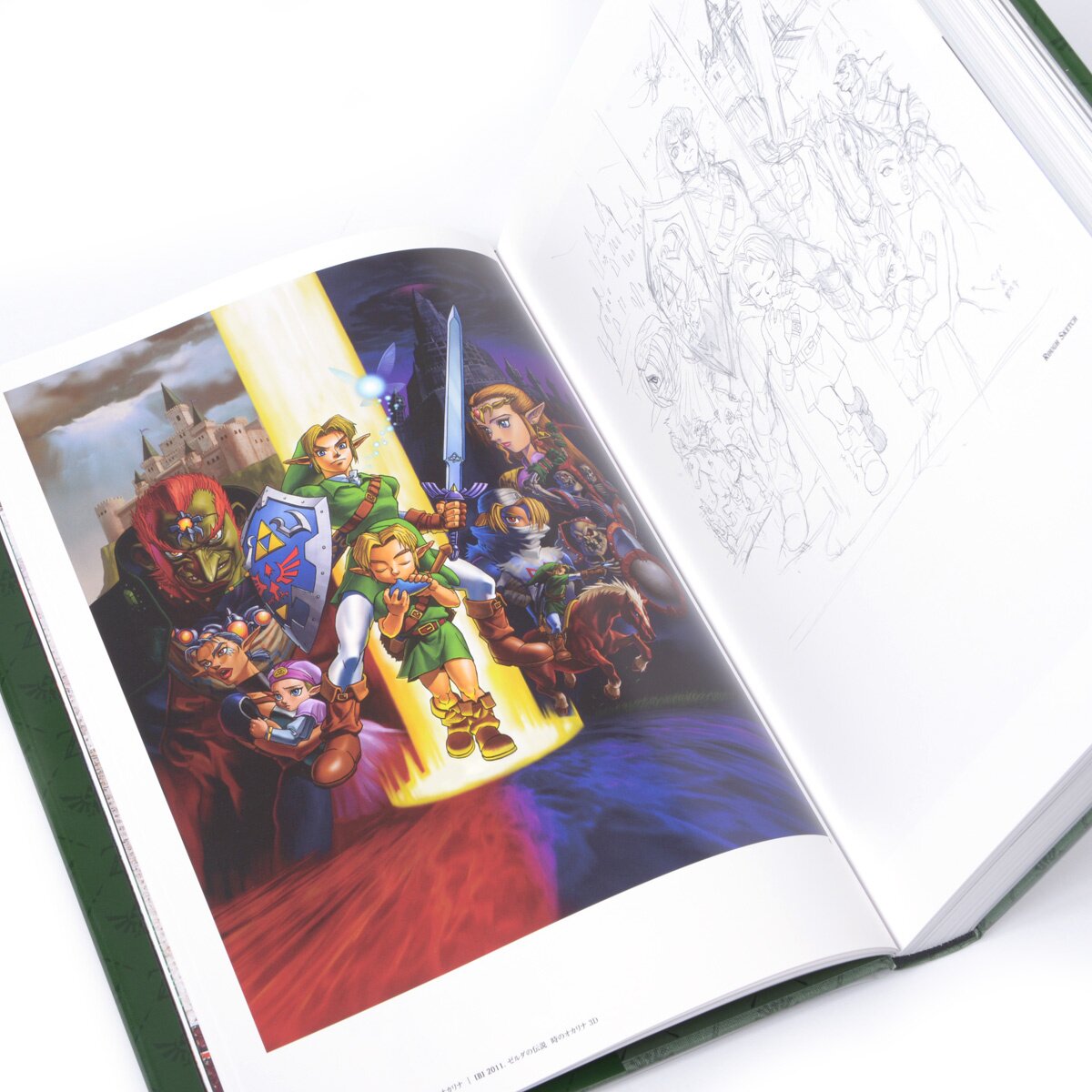 The Legend of Zelda Hyrule Graphics - Artbook - CELEBRATING 30 YEARS OF  ZELDA - ISBN:9784198642433