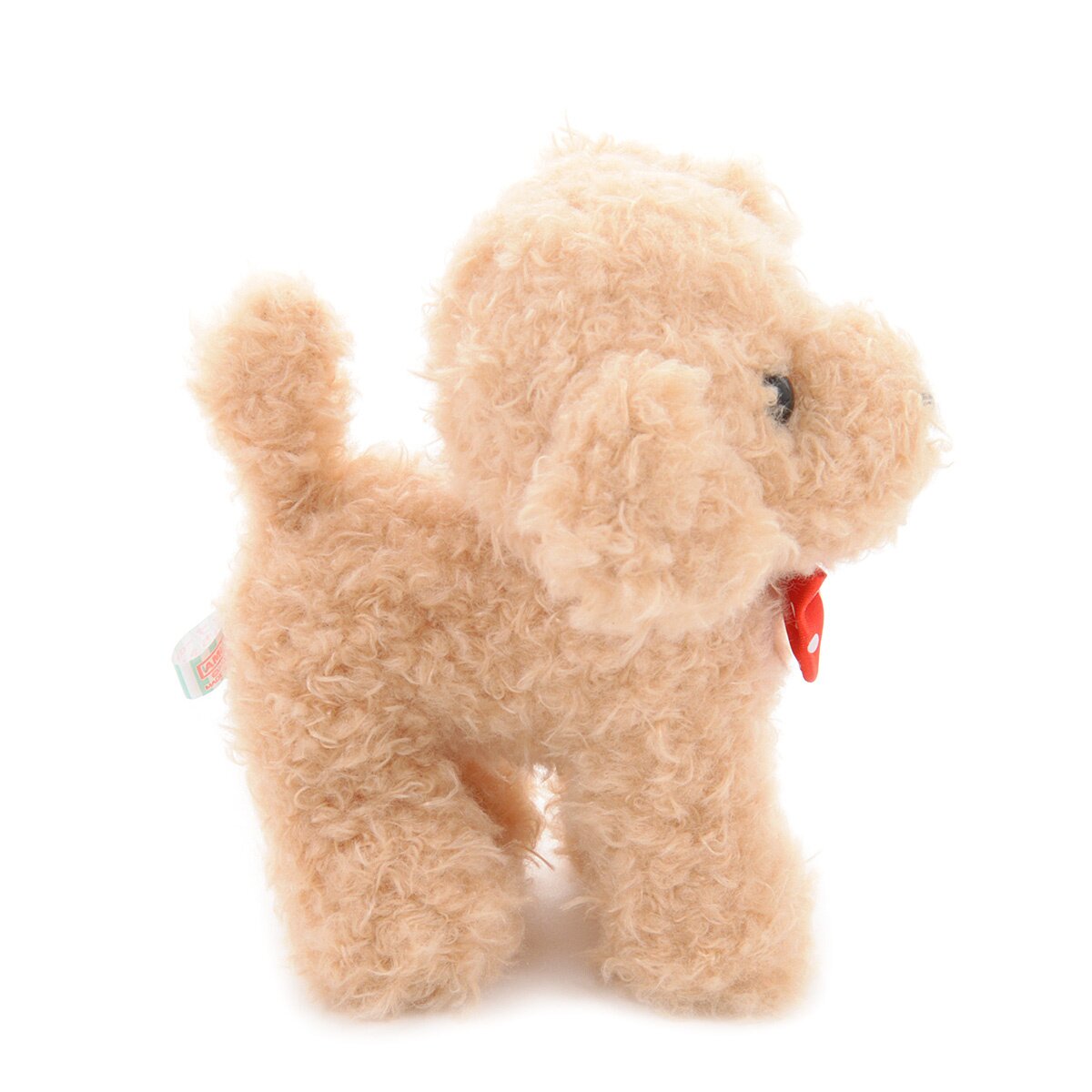 Mocha Toy Poodle Puppy 💙 SOLD – Precious Pups USA