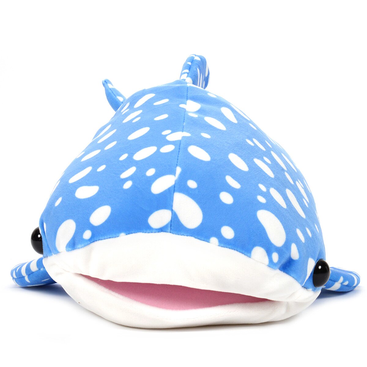 mochi puni shark