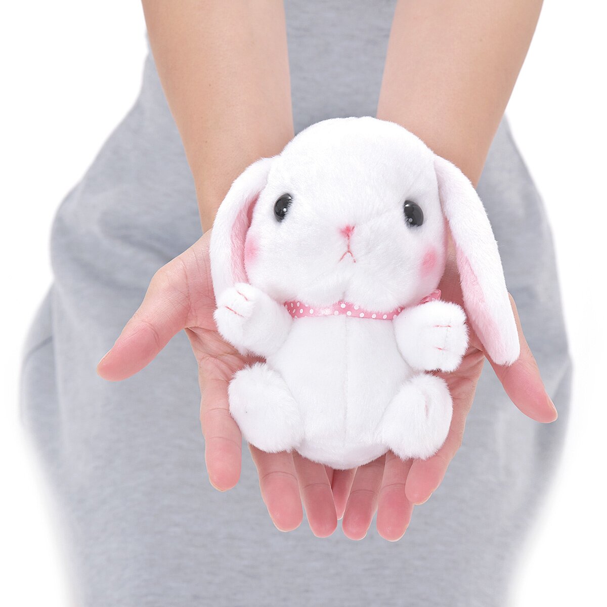 Pote Usa Loppy Rabbit Plush Collection (Standard): Amuse - Tokyo Otaku ...