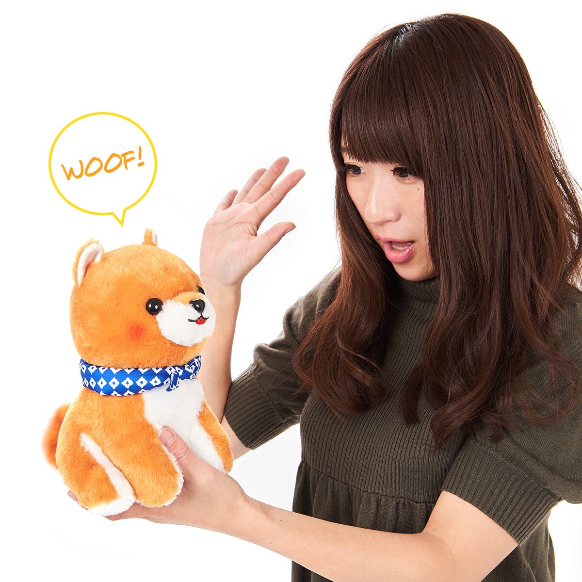 Ichi Ni no Corgi Dog Plush Collection (Big): Amuse - Tokyo Otaku Mode (TOM)