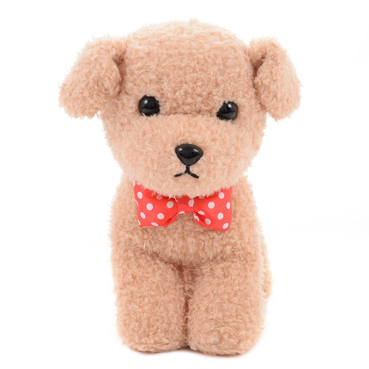 Mocha Toy Poodle Puppy 💗 SOLD – Precious Pups USA