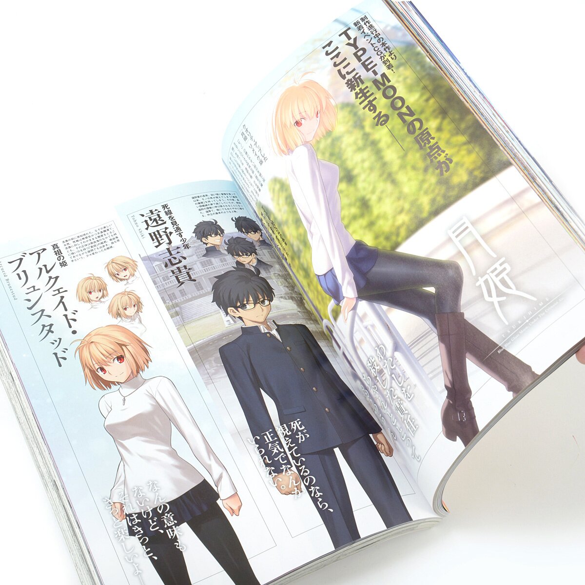 TYPE-MOON Ace Vol. 11: Type-Moon - Tokyo Otaku Mode (TOM)