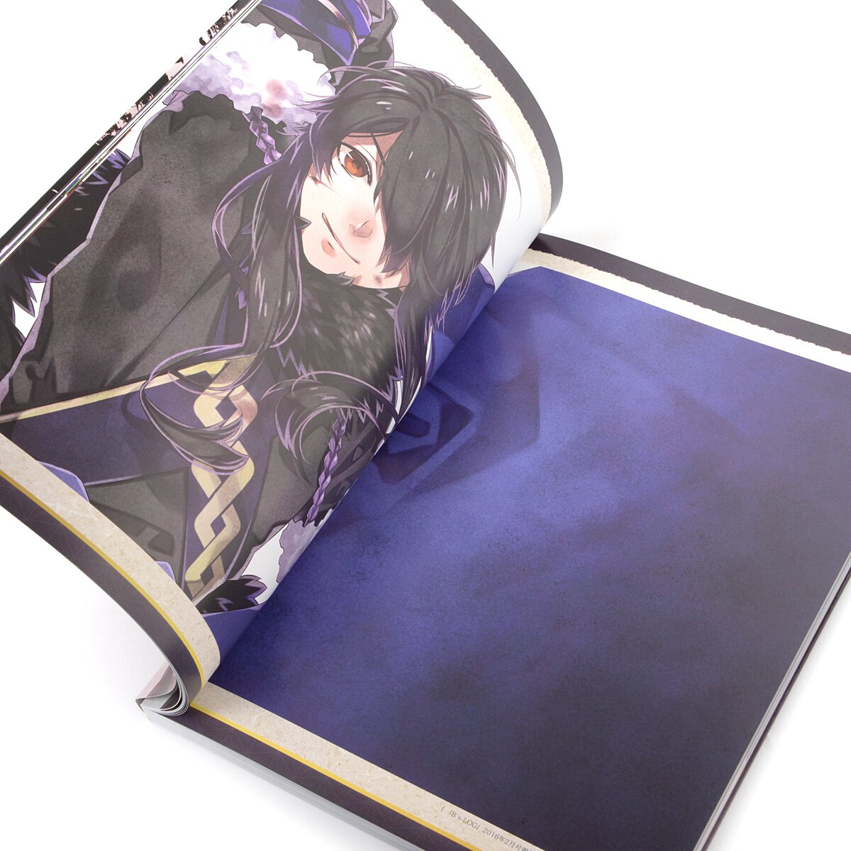 Hyakka Hyakurou Sengoku Ninpouchou Official Art Book - Tokyo