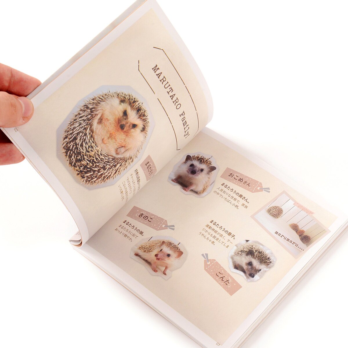 Marutaro the Hedgehog Butt Photo Book - Tokyo Otaku Mode (TOM)