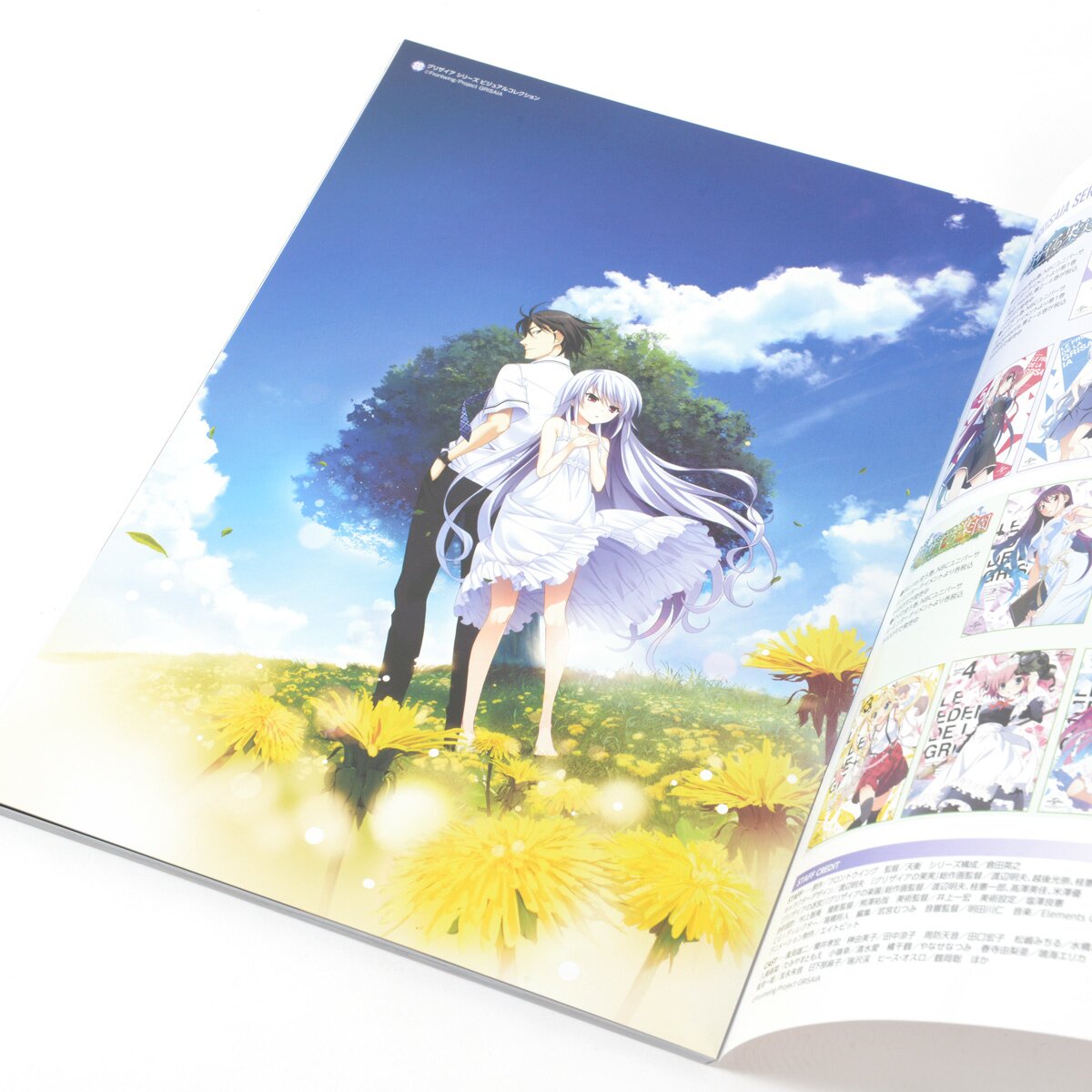 【新品未開封】グリザイアの果実 THE GRISAIA TRILOGY グリザイアの果実・迷宮・楽園 フルパッケージ - Switch