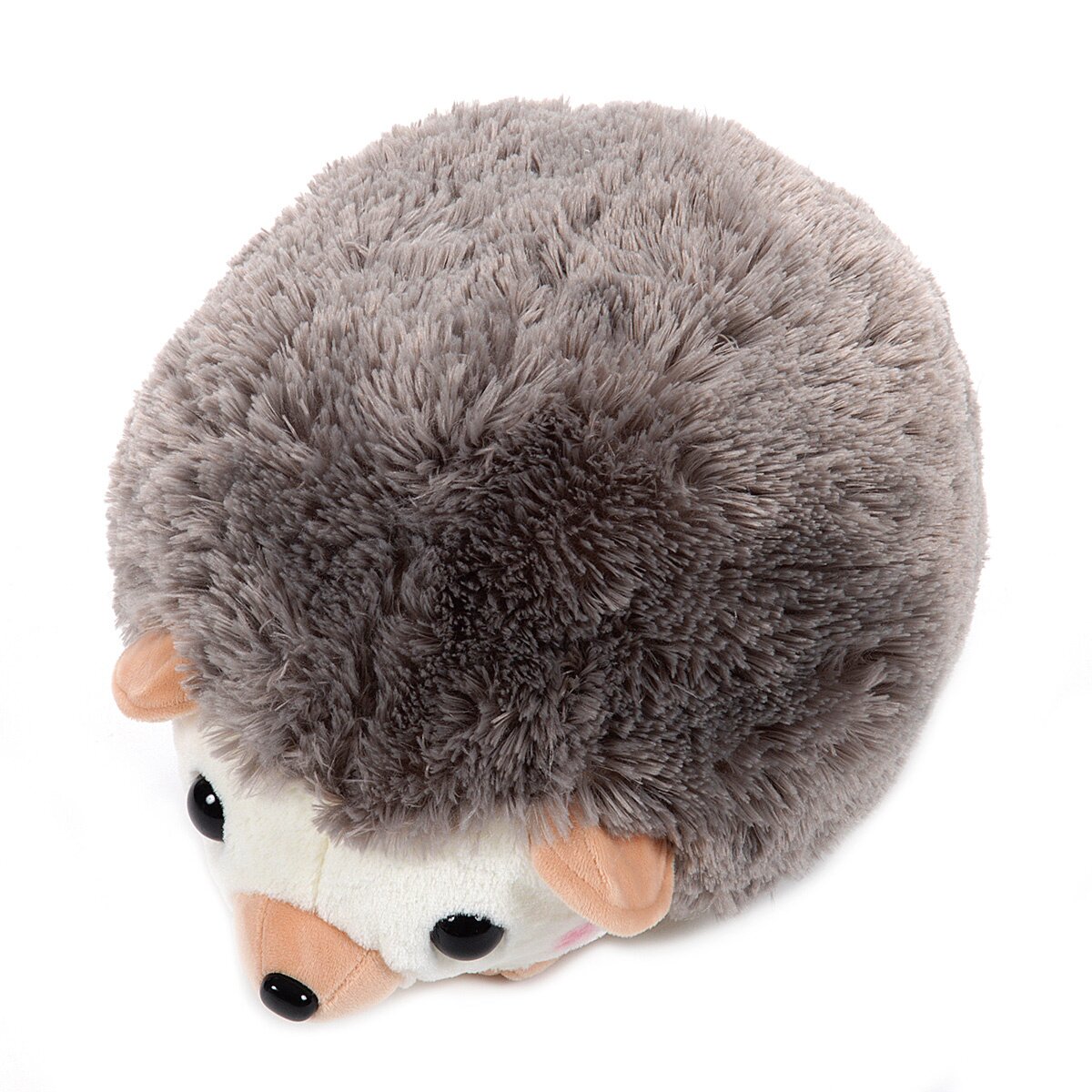 amuse hedgehog