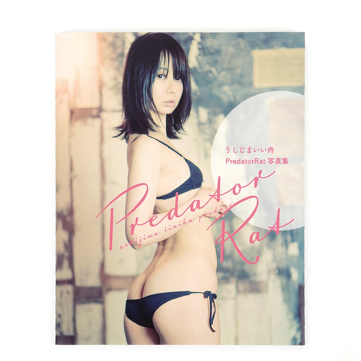 panties (Japanese Edition) - Kindle edition by RYO. Arts & Photography  Kindle eBooks @ .