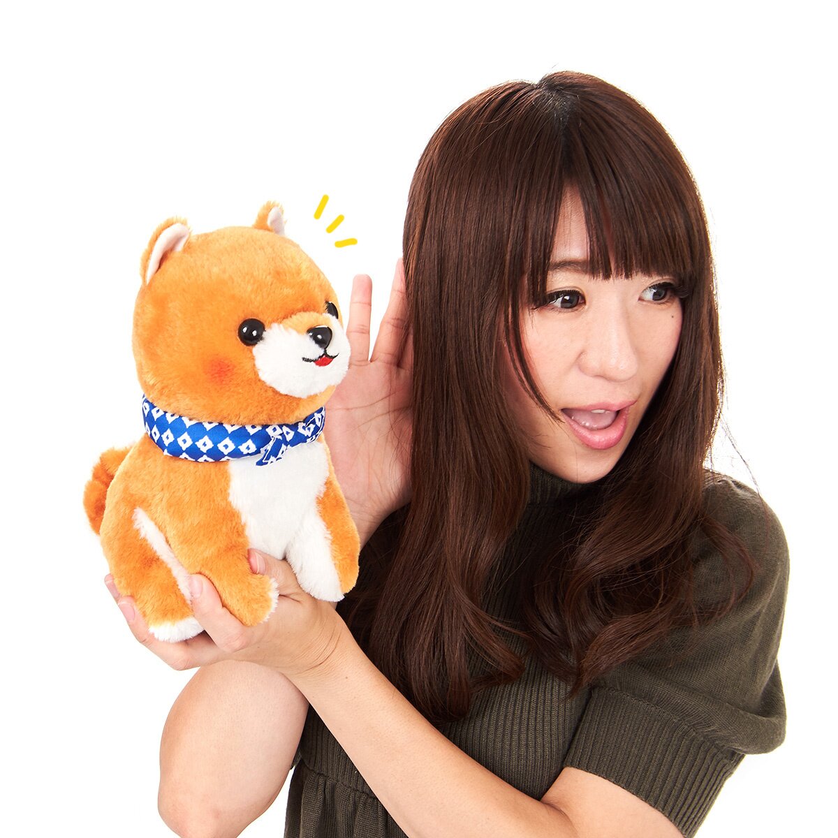 Ichi Ni no Corgi Dog Plush Collection (Big): Amuse - Tokyo Otaku Mode (TOM)