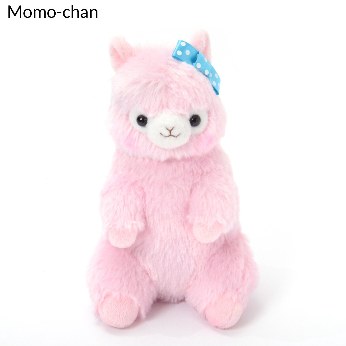 alpacasso collection