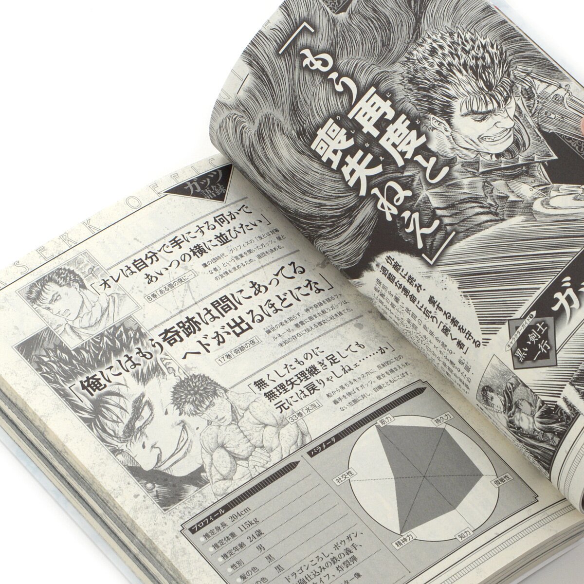 Berserk Official Guidebook