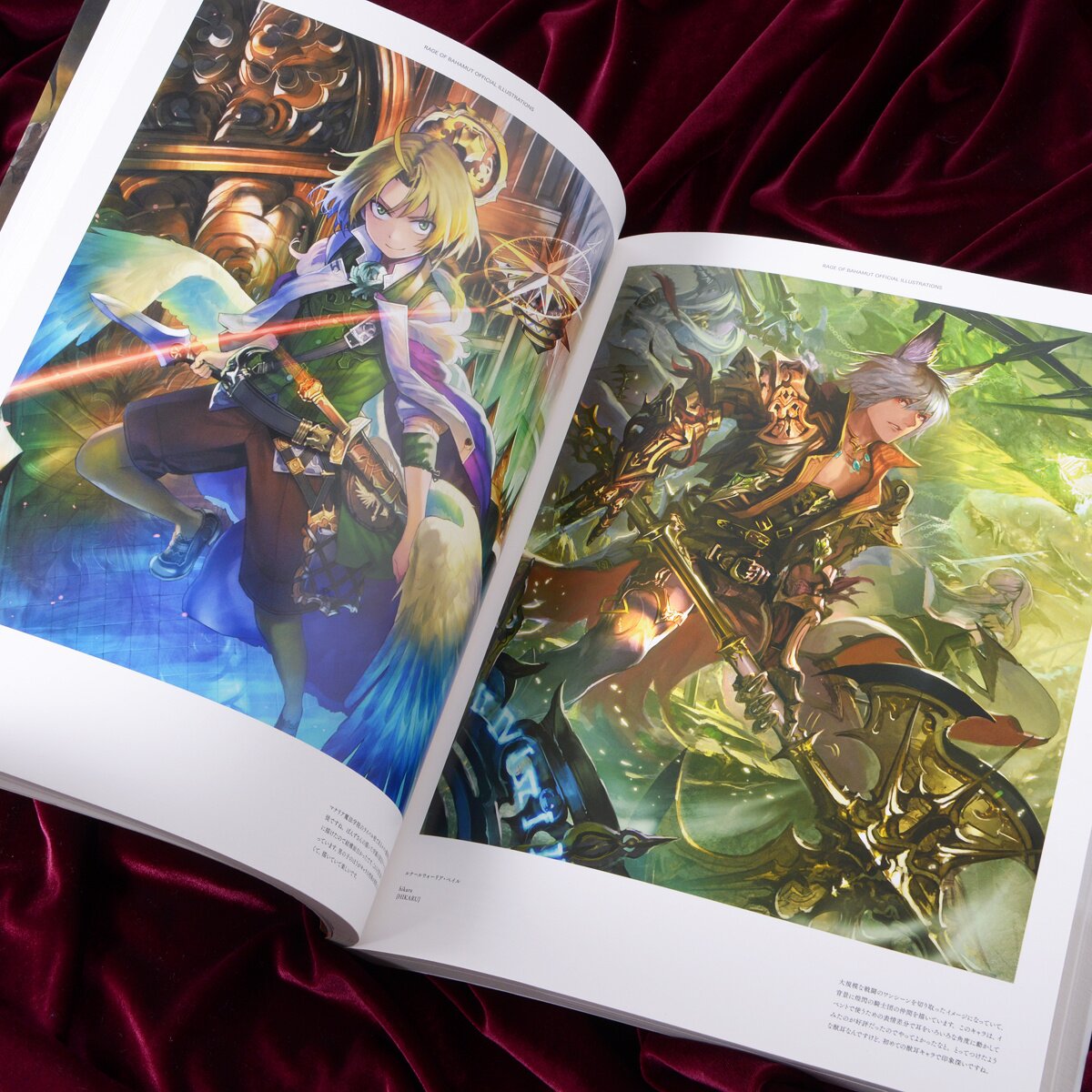 Rage of Bahamut Official Illustrations - Tokyo Otaku Mode (TOM)