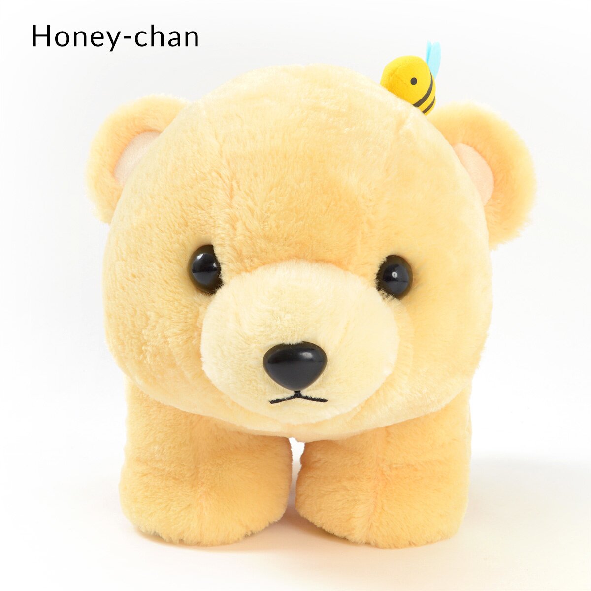 marukuma honey bear