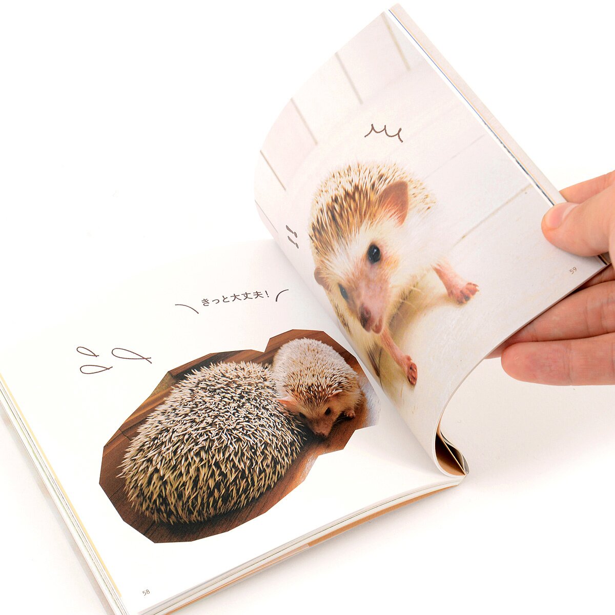 Marutaro the Hedgehog Butt Photo Book - Tokyo Otaku Mode (TOM)