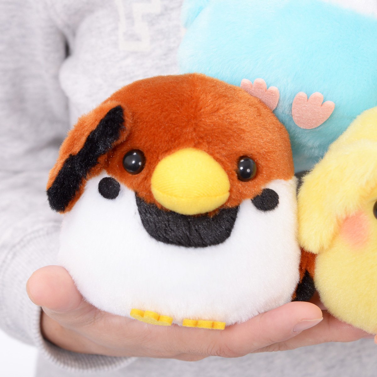 Kotori Tai Pipitto! Bird Plush Collection (Standard): Amuse