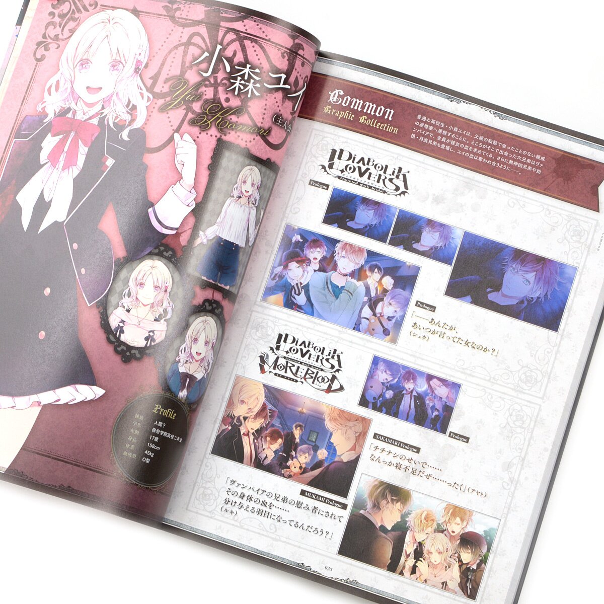 DIABOLIK LOVERS 5th Anniversary Book