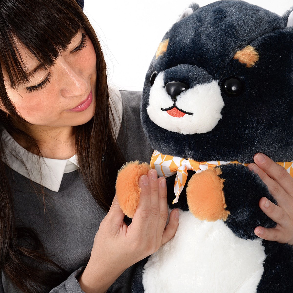Mameshiba San Kyodai Begging Plush Collection (Big): Amuse - Tokyo