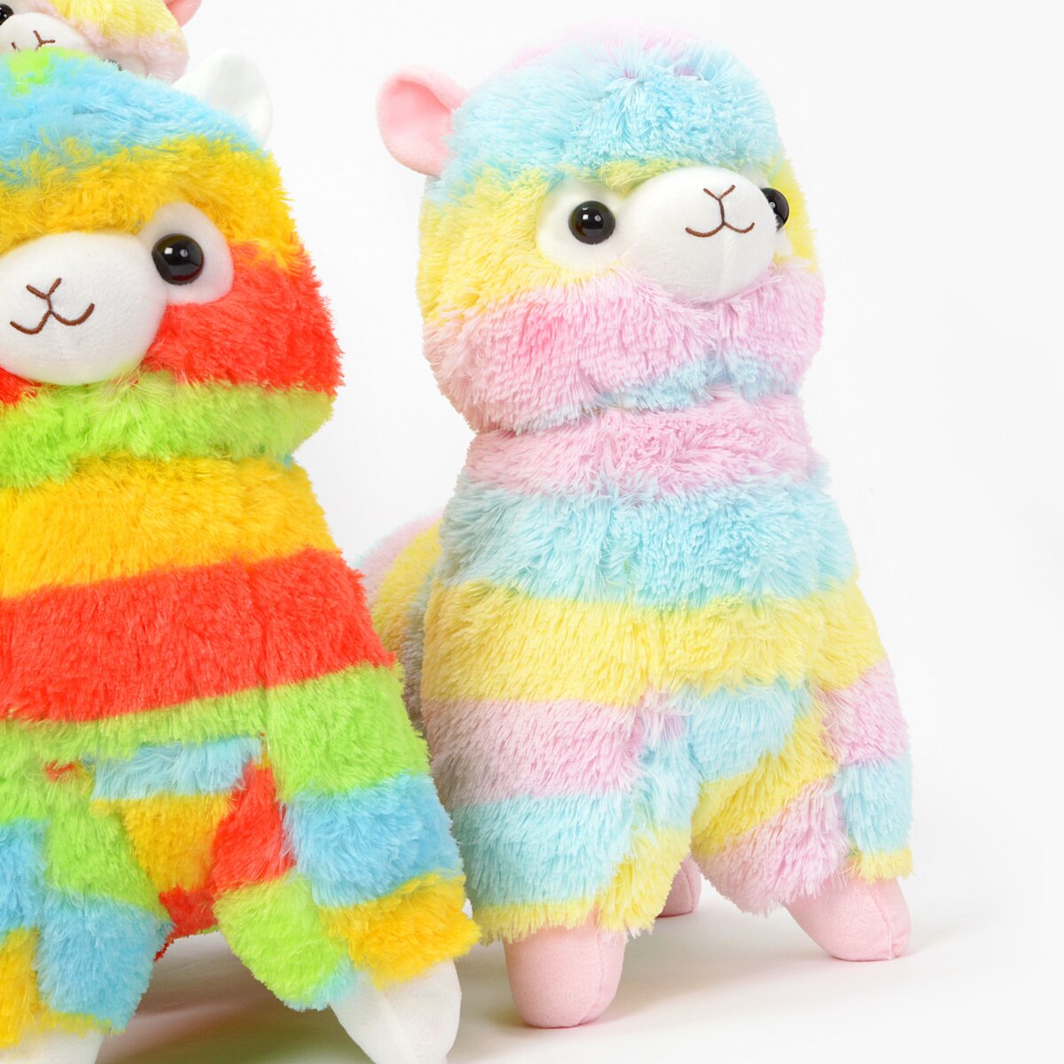 alpacasso rainbow